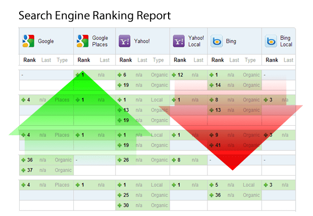 What is a search engine ranking report?