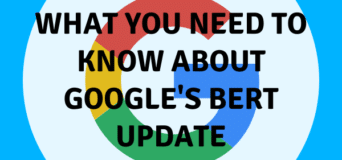 BERT Update from Google: What You Need to Know Now